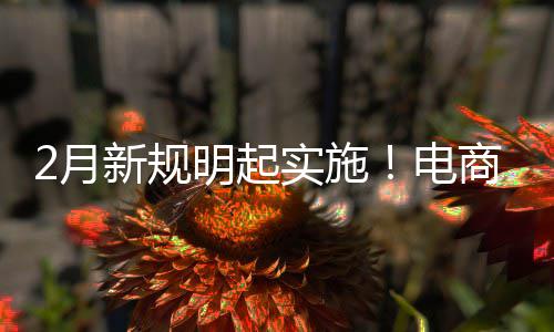 新规明起制商台不退款电得强2月费险家仅及运实施商平